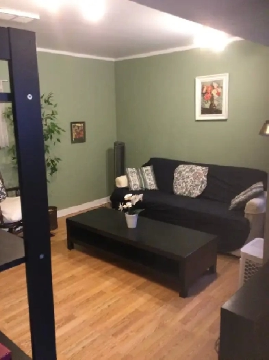 basement apartment Image# 4