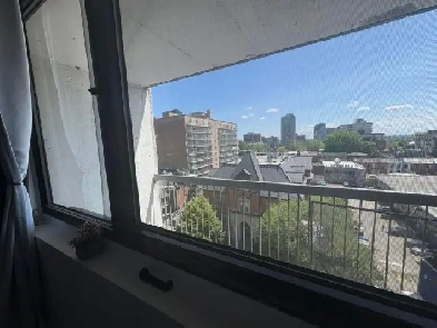 Studio for rent in Downtown Image# 1