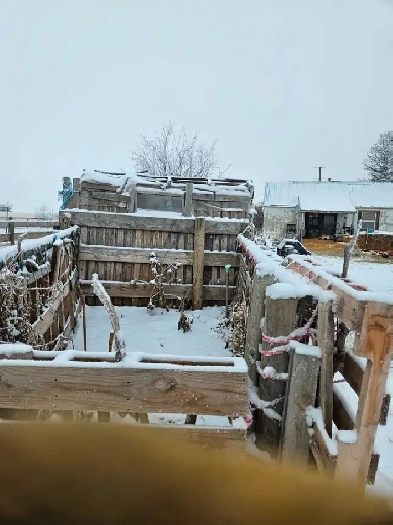 Room for Rent Image# 1