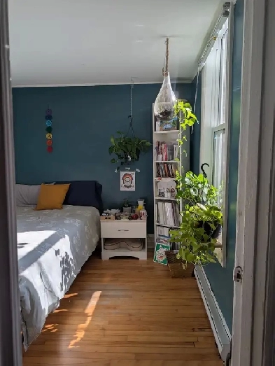 Grande chambre à louer au plateau Mont-Royal Image# 1