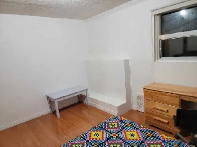 Room for Rent Image# 8