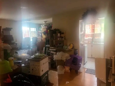 Four & half sublease apartment Image# 2