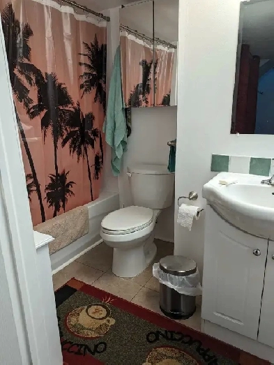 Large Basement Room for Rent Image# 2