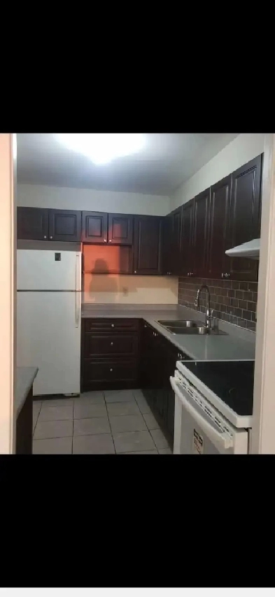 Apartment Rent Image# 1