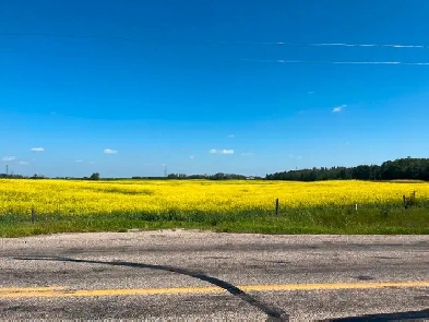 76 Acres Red Deer County Image# 3
