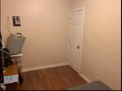 Room for rent in lakeshore and park lawn area Image# 1