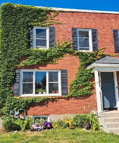 3 bedroom house Wellington Village Image# 9