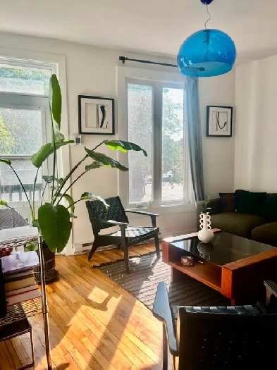 Superbe Condo 4 1/2 a louer Image# 1