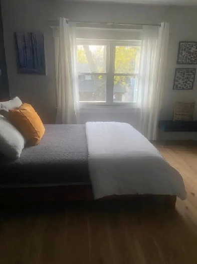 Very large and sunny bedroom Image# 3