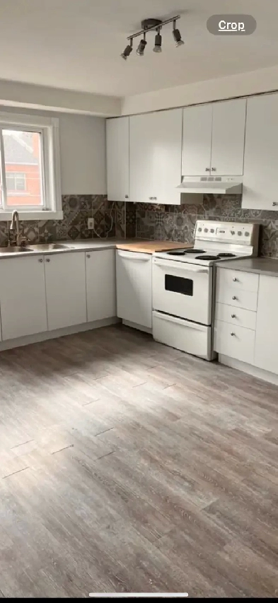 5 1/2 upper duplex for rent  in NDG Image# 1