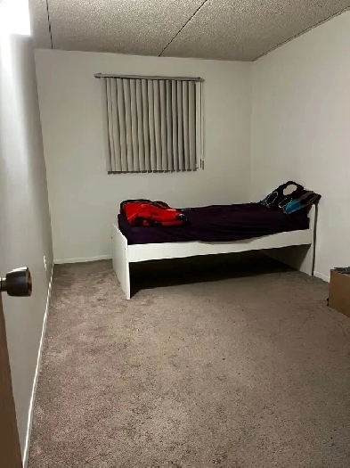 Private room for rent (Girls Only) Image# 4