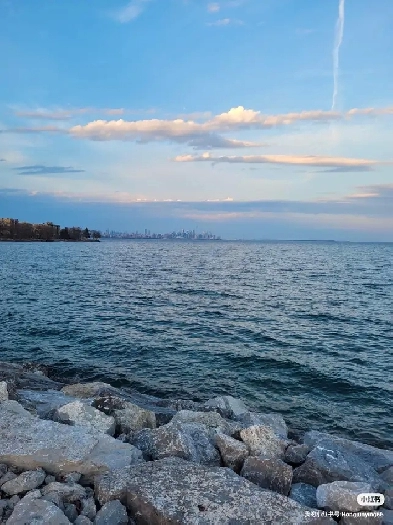 Etobicoke 2 bedroom unit for $2300 Image# 5