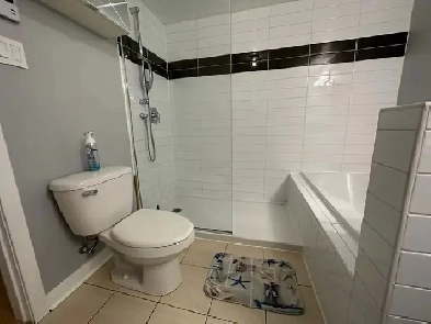 2 bed 1 bath condo in Montreal Image# 1