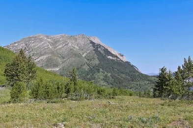 121 acres of vacant land Image# 1