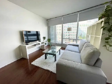 Furnished 1 1 Condo w/ Parking – Downtown Toronto Image# 3