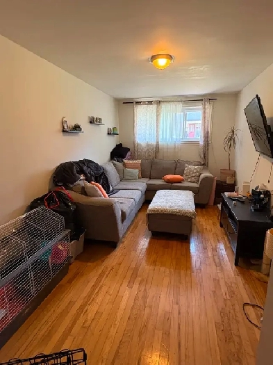 4 ½ Rosemont - Metro Beaubien/Fabre – Espace Terrasse Image# 1