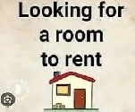 Looking for two rooms to rent asap Image# 1