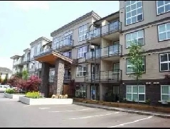 1 bed   1 bath apartment Image# 1