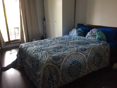 Room for rent near finch/ Victoria Park Image# 1