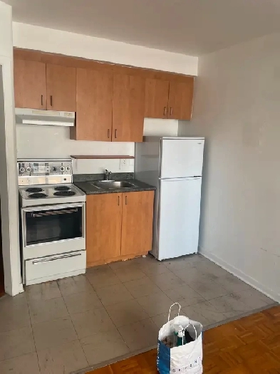 Beau 2 ½,en face du Métro Laurier, LIBRE Image# 1