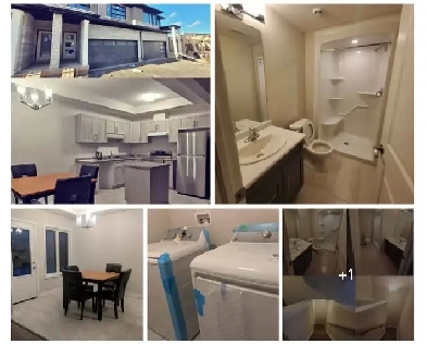 Clean Furnished RoomAvailable for Rent in Niagara Falls Image# 1
