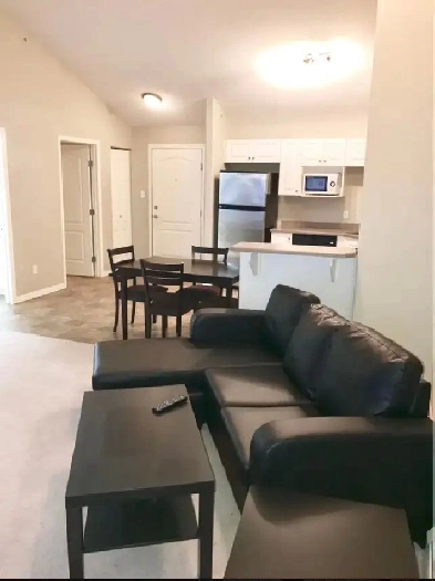 Furnished 1 Bedroom Condo for rent - Edmonton NE Image# 2