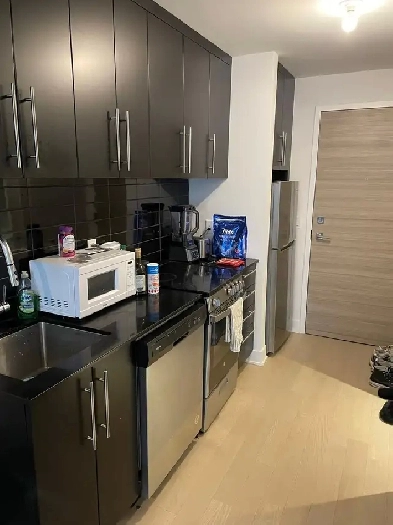 Furnished Studio/Bachelor for rent - Downtown/Griffintown