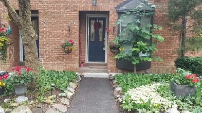 Guildwood lakeside townhouse for rent Image# 1