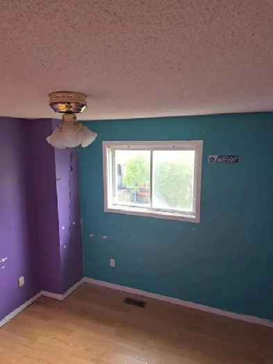 Room for Rent Image# 1