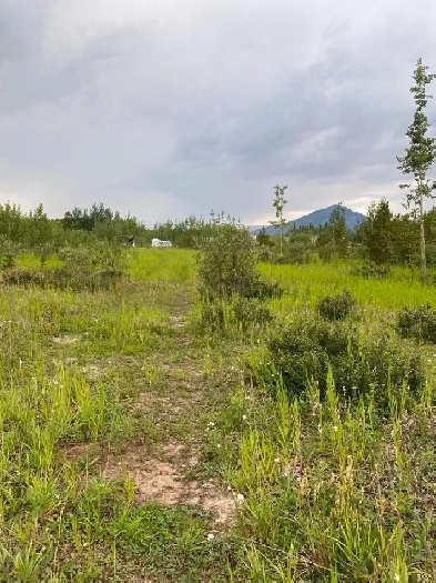 Off grid mobile home Image# 2