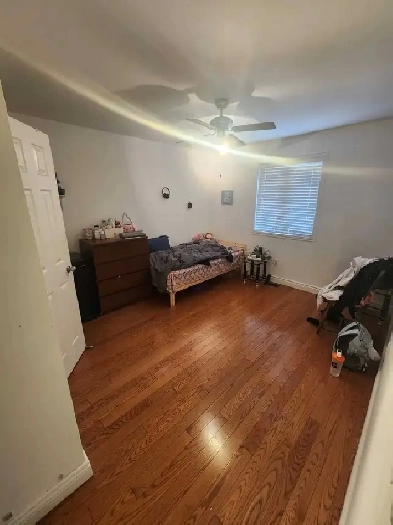 2 Sharing / private room for rent in Scarborough Image# 1