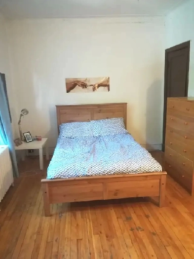 Big furnished room, girl roommates, all incl, Vendome, Sep 1st Image# 7