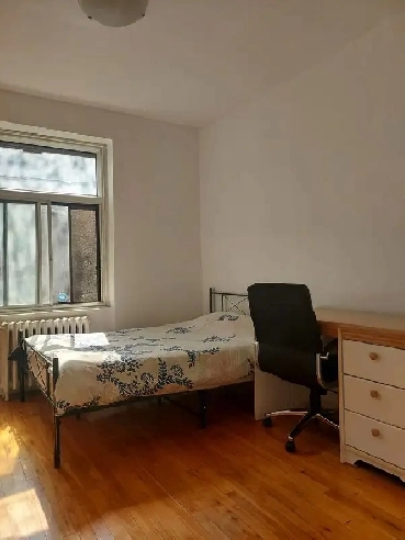 Sunny furnished room, guy roommates, all incl, Vendome, Sep 1st Image# 8