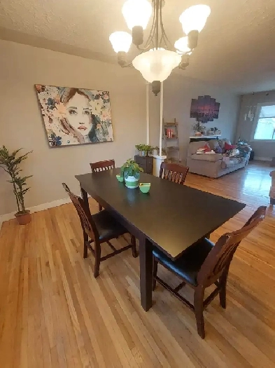 Three Bdrm Marda Loop Image# 9