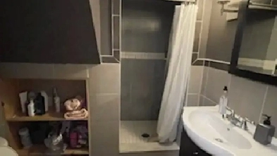 Female House.  University of Windsor Students, Rooms for Rent. Image# 1