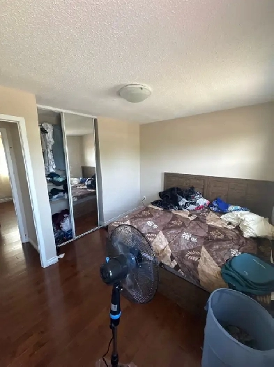 private room near Bramlea city centre Image# 1