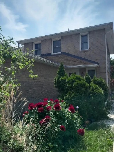 Private Room for Rent for Girl near Shopper's World Image# 1