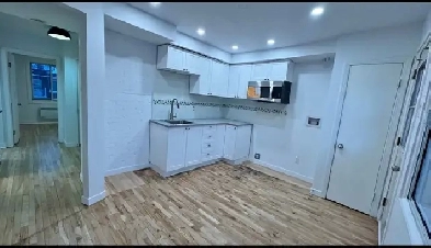 ⸻ Appartement 4 ½ rénové Montréal Ahuntsic  Crémazie 1500$ Image# 15