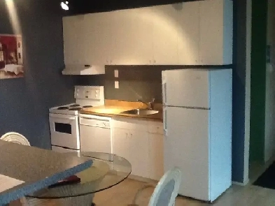 Downtown Condo Loft X from MacEwan U Large Spacious Condo Loft Image# 6
