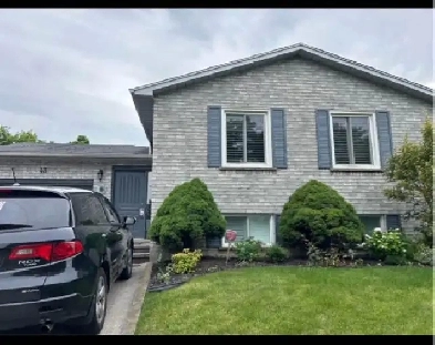 Newly renovated furnished housed for sale Image# 7