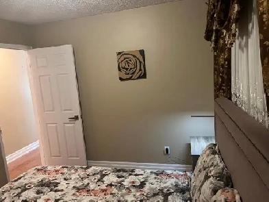 Room for Female at Heart of Mississauga Image# 1