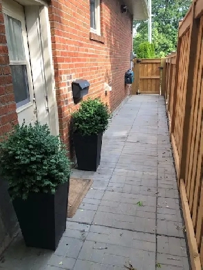 Pharmacy and Sheppard Ave 2 Bedroom Apartment Image# 1