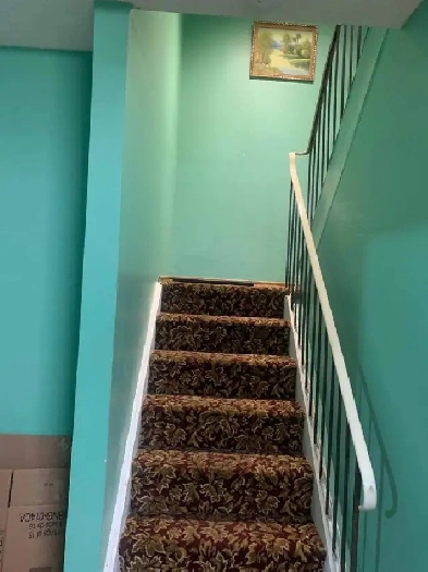 1 basement room available for rent Image# 2
