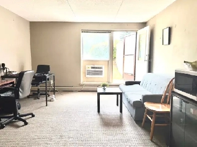 1-Bed 1-Bath Apartment for Sublease – All Utilities Included Image# 4