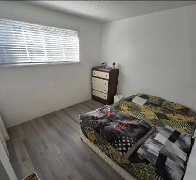 Private room for rent - Available Sep 1 Image# 2