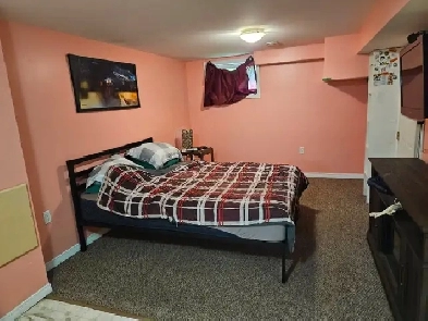 basement unit in a house with a guy and his dog Image# 5