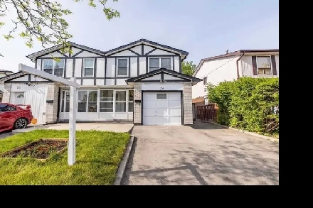 Studio Basement for rent Brampton Couple (or) Girls-August 1 Image# 2