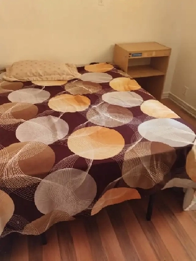 Rooms for rent at St Clair and Keele for male professional Image# 5