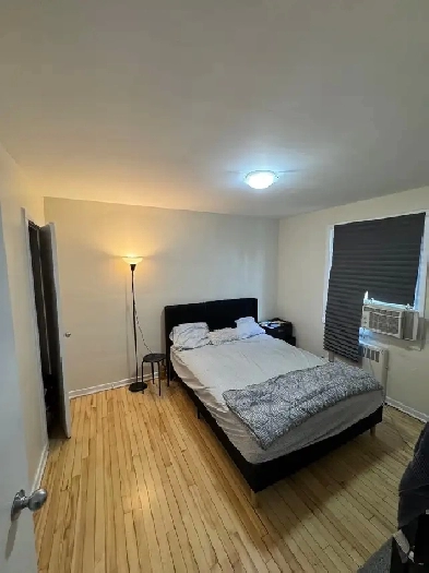 1 bed 1 bath Image# 1