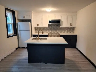 Old East Hill-2Bed, Renovated, Laundry in Unit, INCL Heat & A/C Image# 5